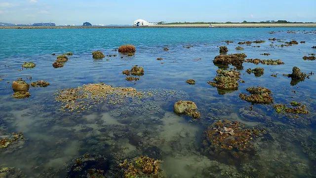屿!无需护照也能体验和本岛不一样的风景开元ky棋牌放假就去这10个新加坡岛(图7) 屿!无需护照也能体验和本岛不一样的风景开元ky棋牌放假就去这10个新加坡岛(图7)